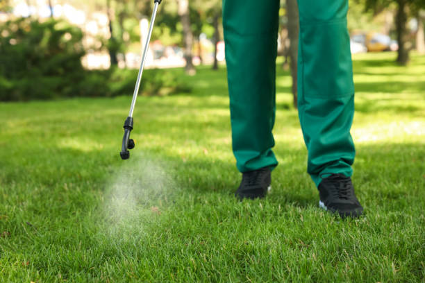 Flea Control Services in Park Ridge, IL