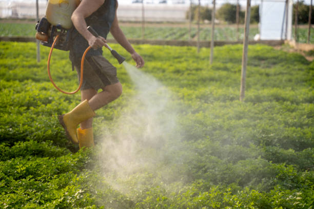 Best Pest Prevention Services  in Park Ridge, IL