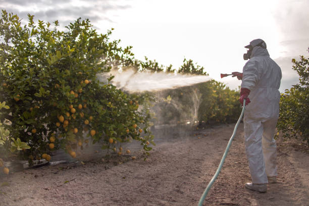 Insect Control in Park Ridge, IL