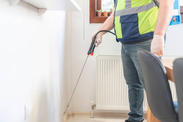 Best Rat Extermination Near Me  in Park Ridge, IL