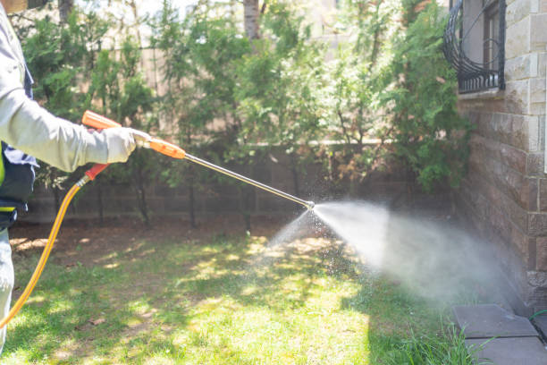 Best Commercial Pest Control Services  in Park Ridge, IL
