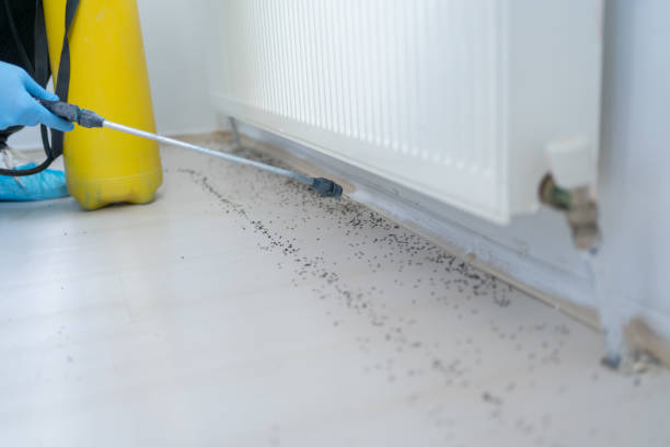 Best Pest Removal Services  in Park Ridge, IL