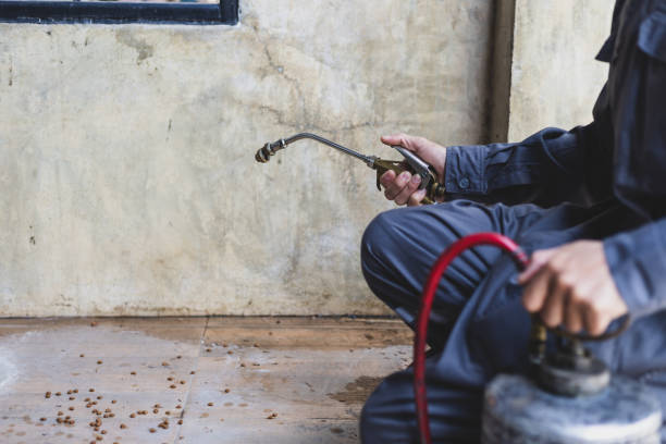 Best Pest Prevention Services  in Park Ridge, IL
